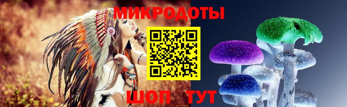 Псилоцибиновые грибы Cubensis  Вход с VPN  Вышний Волочёк 